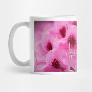 Purple rhododendron flower Mug